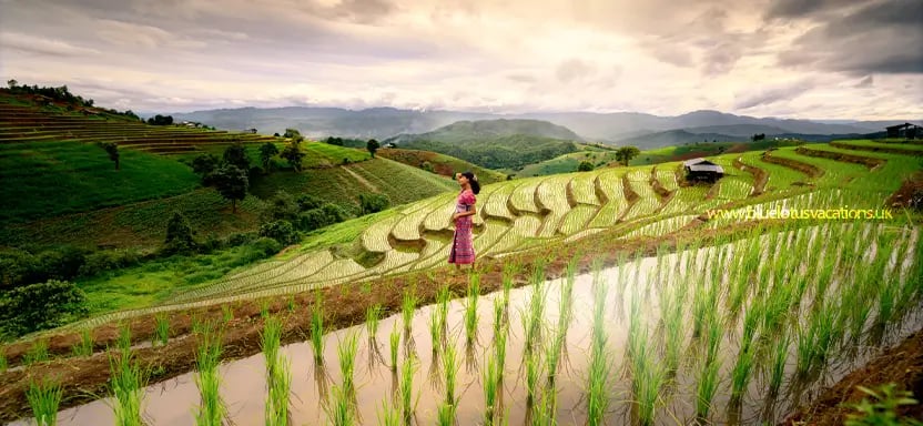 Thailand with Elephant hills
