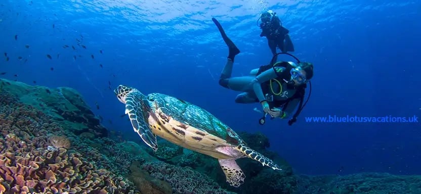 Cancun