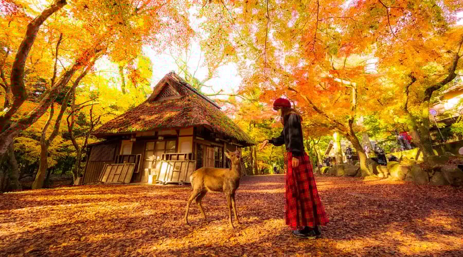 Japan