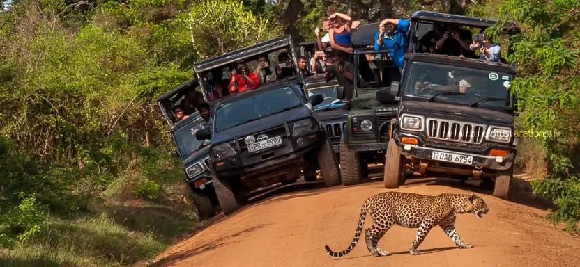 Sri Lanka