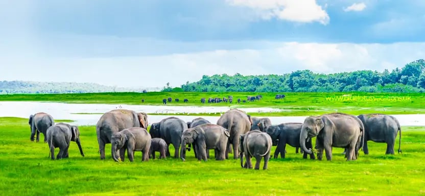 Sri Lanka