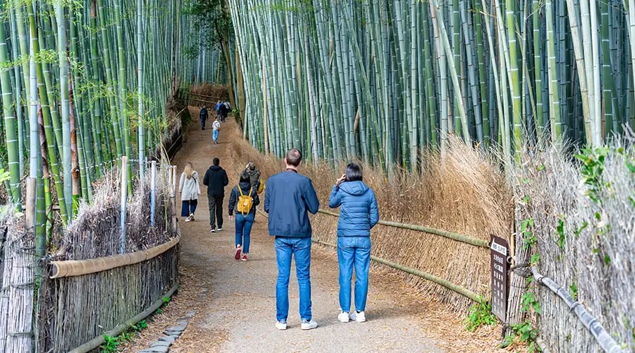 Tokyo Osaka and Kyoto
