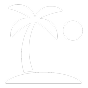 Palm Tree