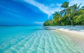 Discover Sri Lanka: The Pearl of the Indian Ocean
